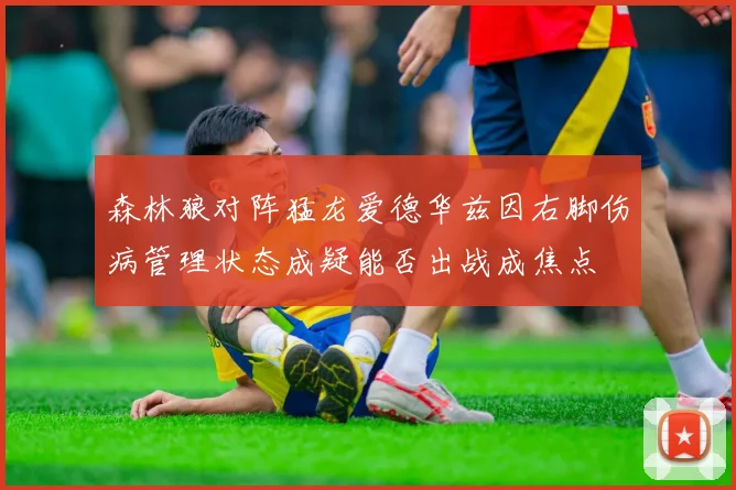 森林狼对阵猛龙爱德华兹因右脚伤病管理状态成疑能否出战成焦点
